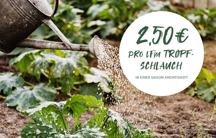 2,50 € pro lfm Tropfschlauch