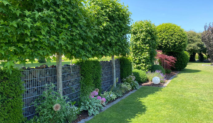 Ein Garten mit einem Zaun und mehreren Bäumen, umgeben von grünem Gras und bunten Blumen