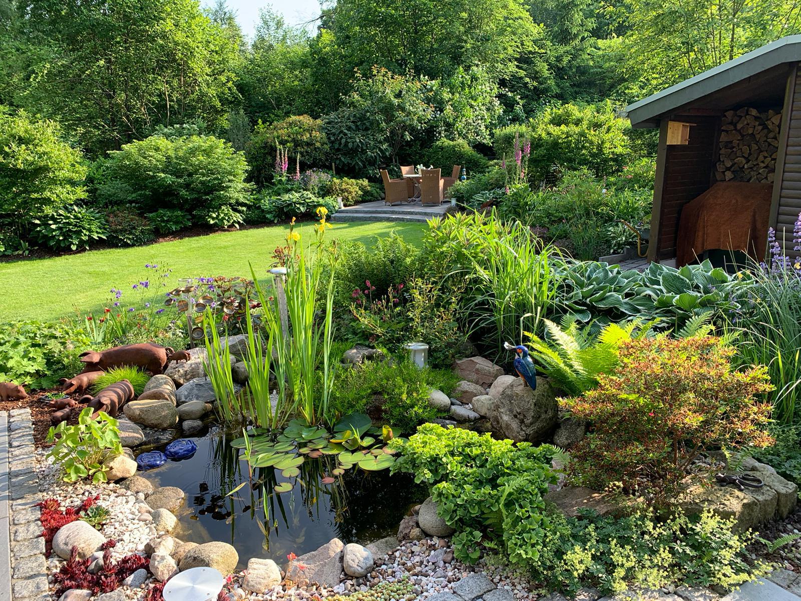 Ein Garten mit einem Teich und vielen Pflanzen, die eine grüne, einladende Atmosphäre schaffen.