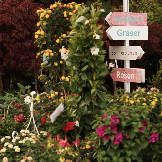 Ein Schild das die verschiedenen Bereiche in der Baumschule zeigt. 