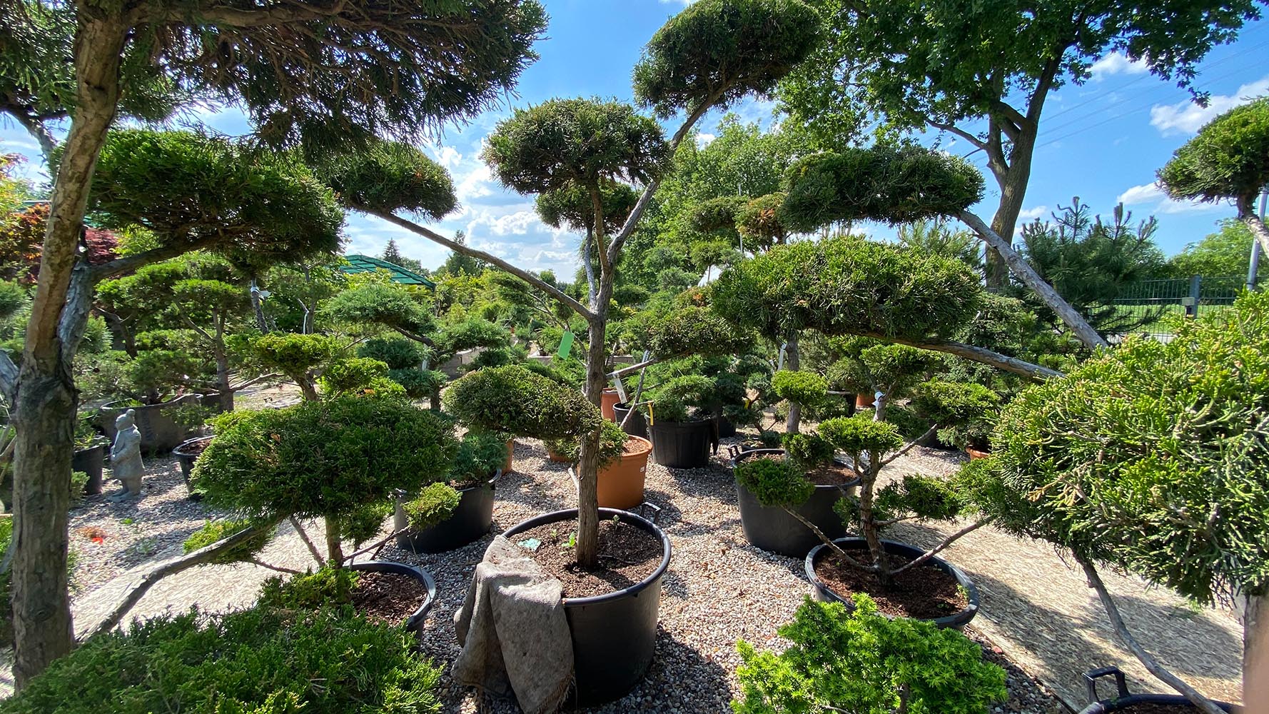 Ein großer Garten mit vielen Bäumen und Sträuchern, die eine grüne, einladende Landschaft bilden